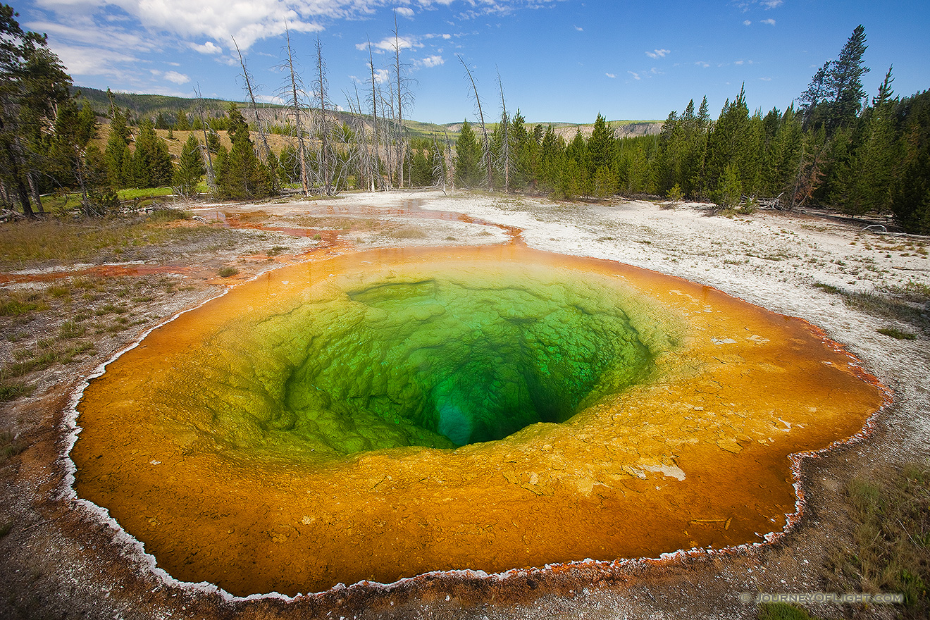 One of the most popular geysers in Yellowstone is the colorful Morning Glory Geyser in the Lower Geyser Basin. - Yellowstone National Park Picture
