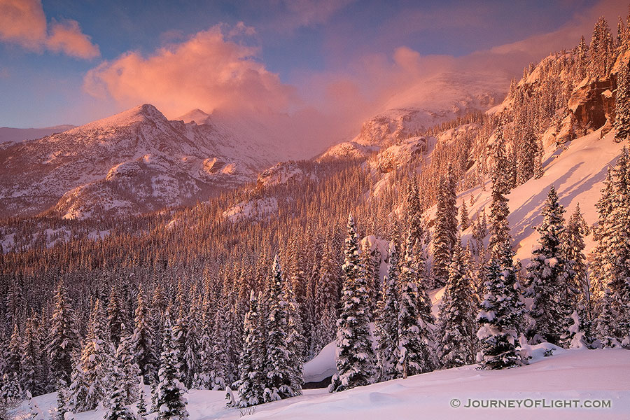 Sunlight illuminates the freshly fallen snow and the trees in the valley while Long's Peak is partially hidden by the blowing snow and clouds. - Rocky Mountain NP Photography