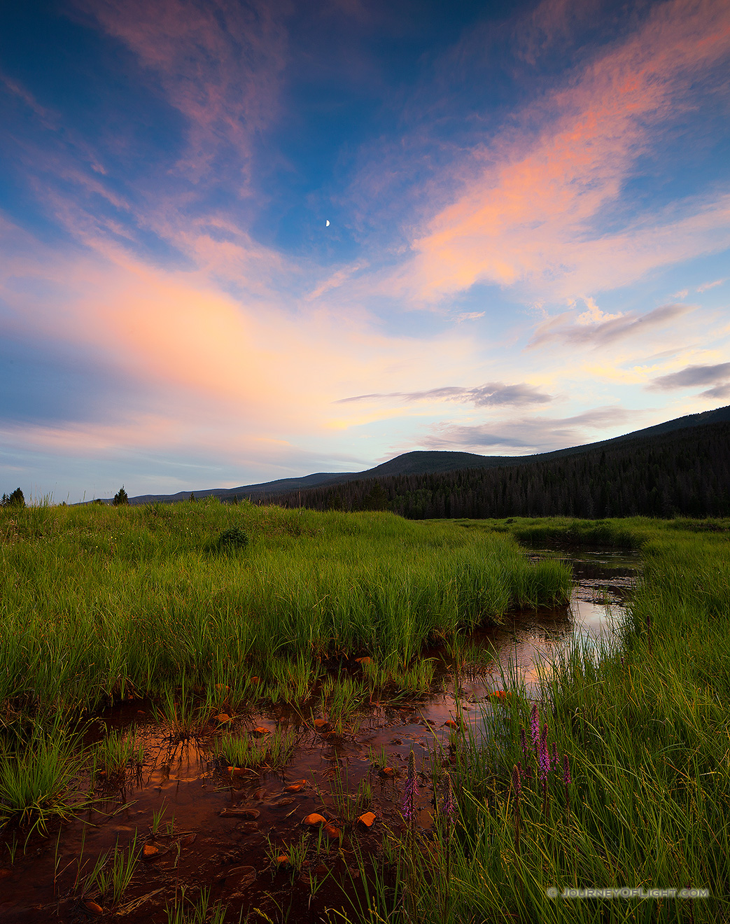 The Kawuneeche Valley is a marshy meadow area on the western side of Rocky Mountain National Park in Colorado. In the native Arapaho language Kawuneeche means “valley of the coyote” and indeed, many animals are found traveling through the valley. On this still July evening, there was a herd of elk that had quietly moved through and were eating on the trail. Not wanting to disturb them too much I kindly asked them to move as I slowly walked by. They obliged and I was on my way, as the last remnants of light illuminated the western edge of the clouds casting a dull glow across the meadow. - Colorado Picture