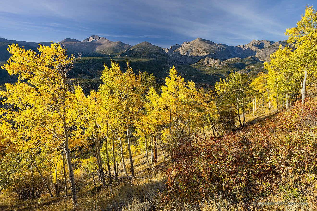 In the early morning, Longs Peak is visible above the autumn trees on the trail to Beirstadt Lake. - Rocky Mountain NP Picture