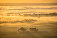 A scenic landscape photograph of the first sunrise light illluminating the fog across the Nebraska plains. - Nebraska Photography