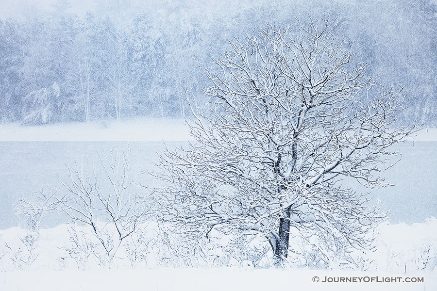 Snow falls on Wehrspann Lake at Chalco Hills Recreation Area on a cold February morning. - Nebraska Photography