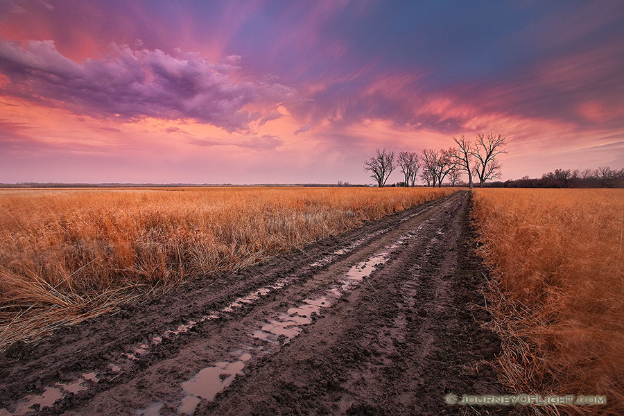 An early spring rain drenches the prairie landscape, creating reflective puddles in a newly plowed road. - Boyer Chute Photography