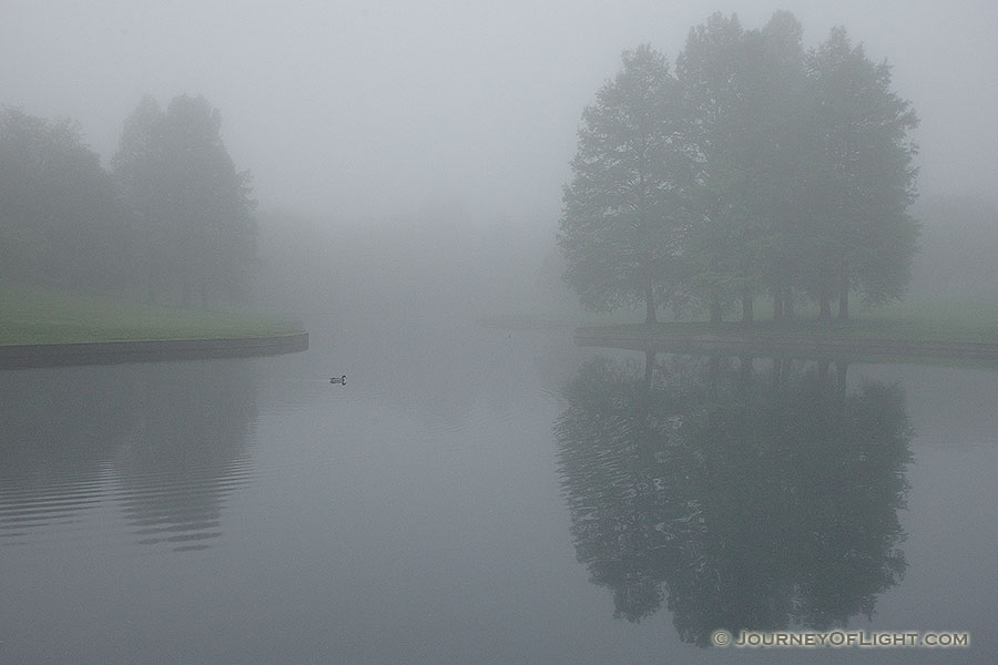 A quiet morning by a small pond near the Gateway Arch. - Jefferson National Expansion Memorial Photography