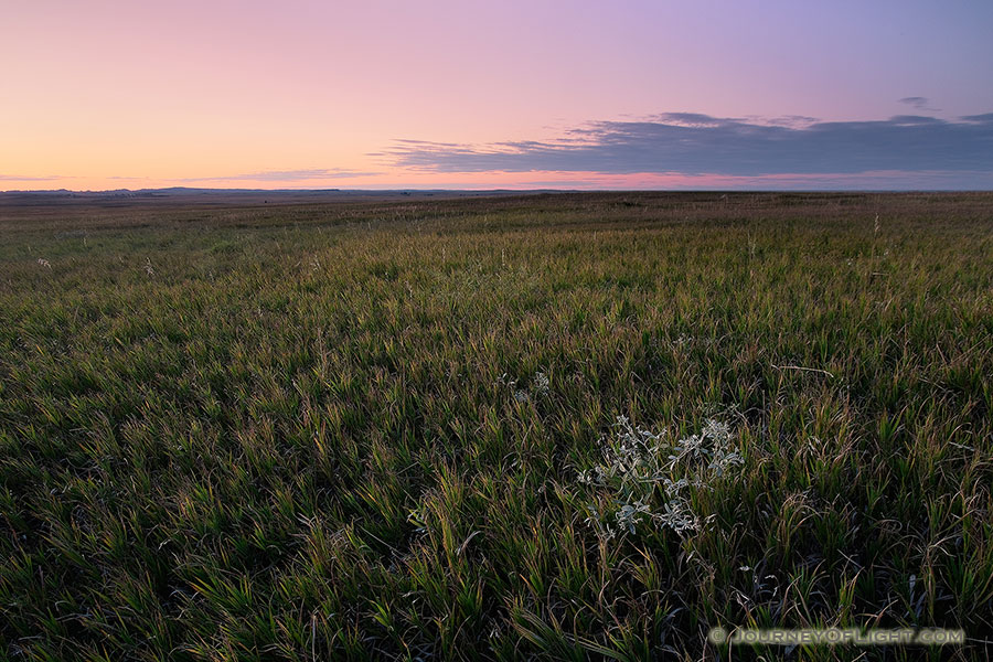 The warm glow of the recently set sun illuminates a grassland in Badlands National Park in South Dakota - South Dakota Photography