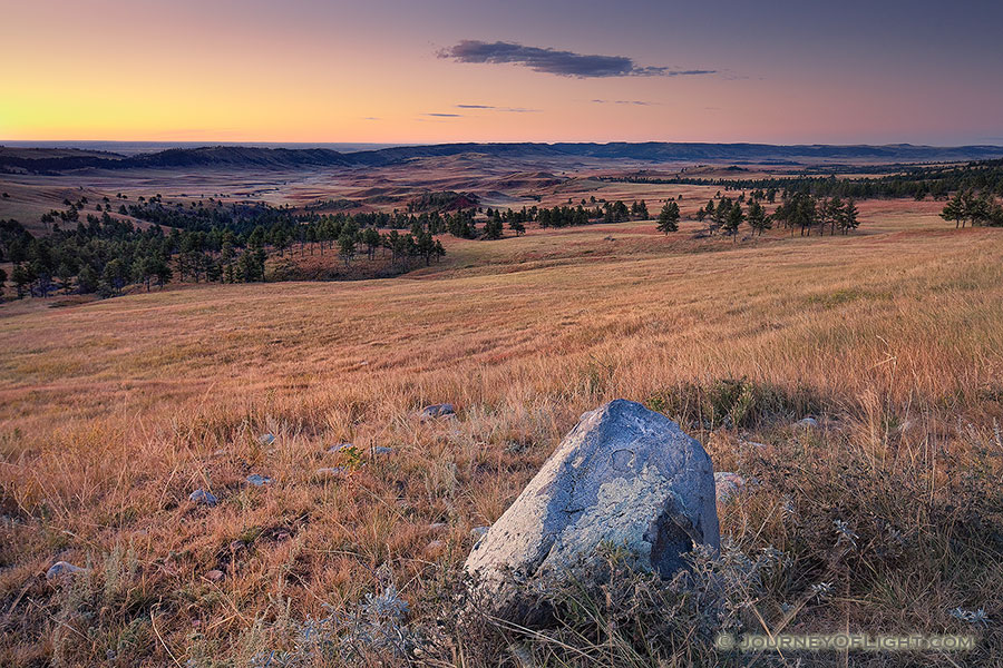 Trees and hills dominant the prairie landscape at Wind Cave National Park in South Dakota. - South Dakota Photography