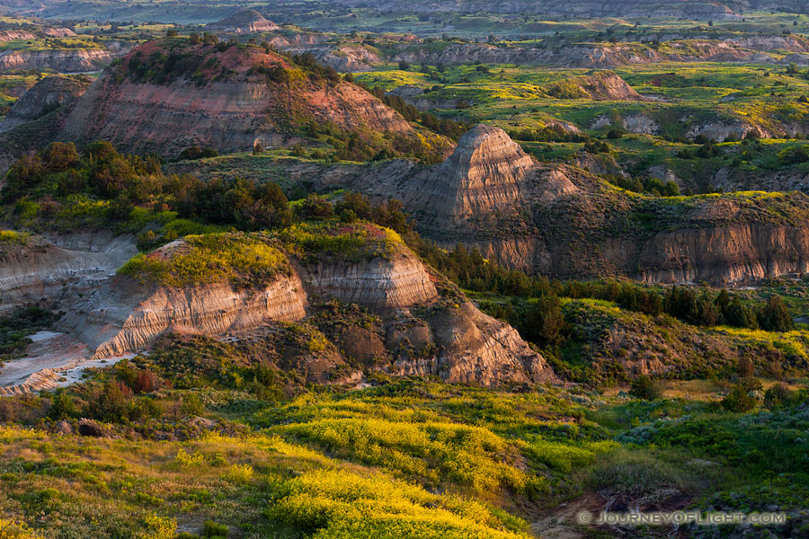 Bluffs in the Painted Canyon in Theodore Roosevelt National Park glow warm from the light of early morning. - North Dakota Photography
