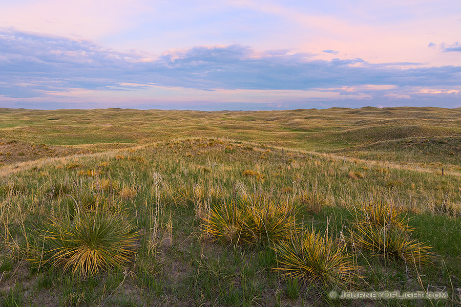 As twilight descends, a calm comes over an expanse of the sandhills in Cherry County, Nebraska. - Nebraska Photography