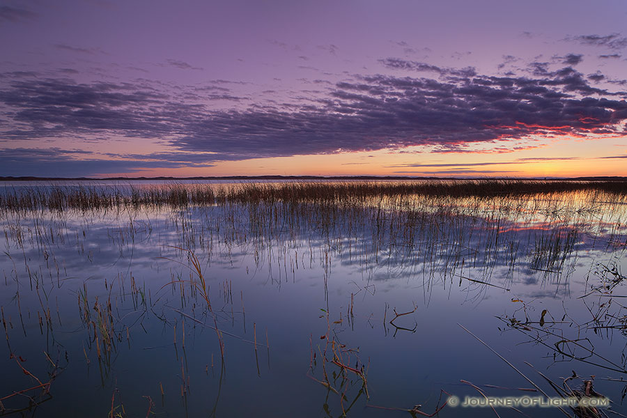 A warm glow illuminates the horizon just prior to sunrise on the North Marsh lake at Valentine National Wildlife Refuge, Nebraska. - Valentine Photography