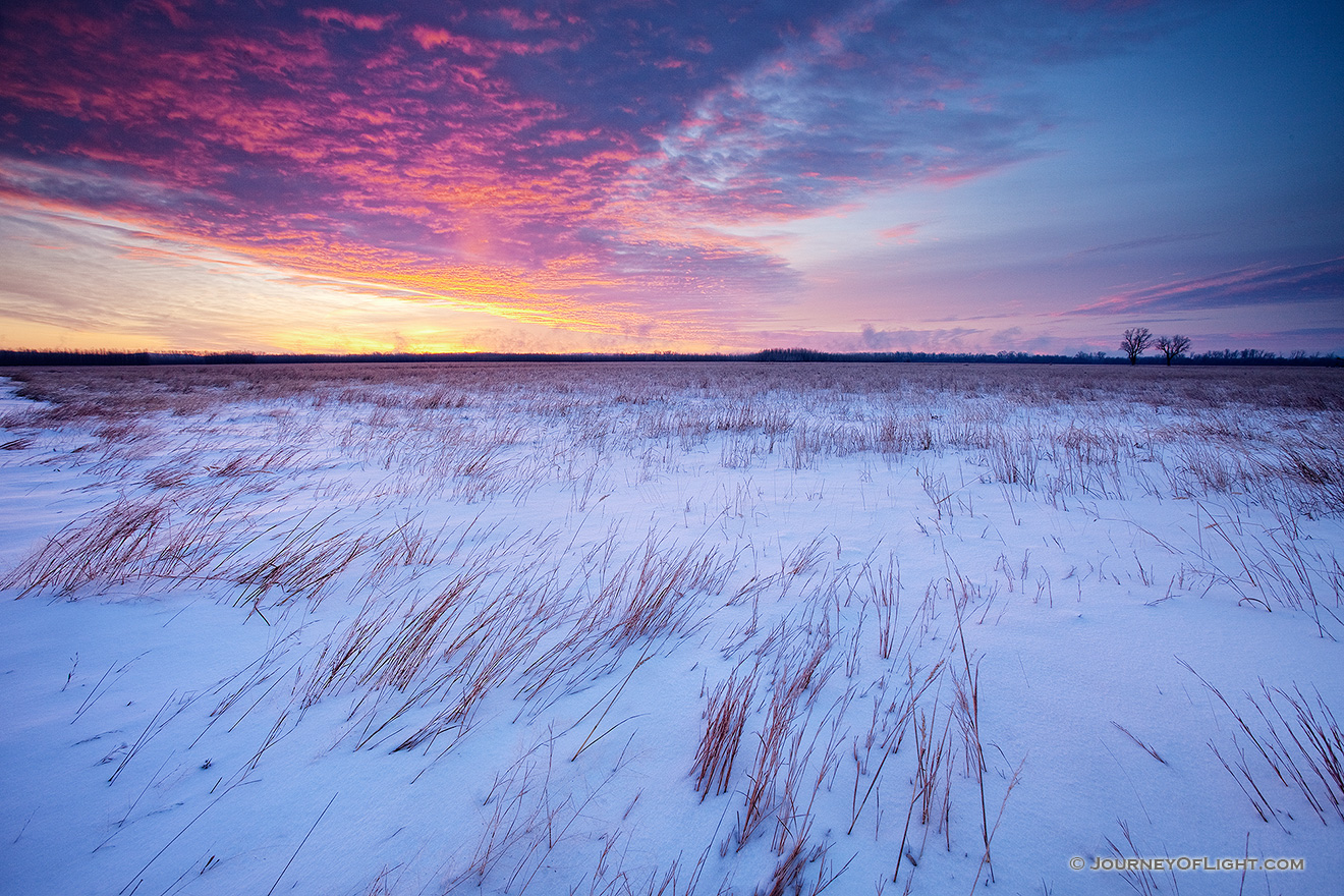 On a cold, early January morning, a snow covered prairie at Boyer Chute National Wildilfe Refuge is greated with a beautiful sunrise.  Due to the very low temperatures, on the horizon a light pillar is visible where in the location the sun will eventually rise. - Boyer Chute Picture