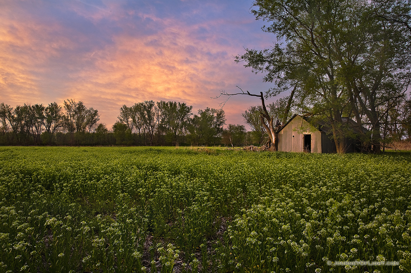 After exploring the western side of DeSoto National Wildlife Refuge I came across this old shed.  The quiet evening had a serenity felt throughout the park. - Nebraska Picture