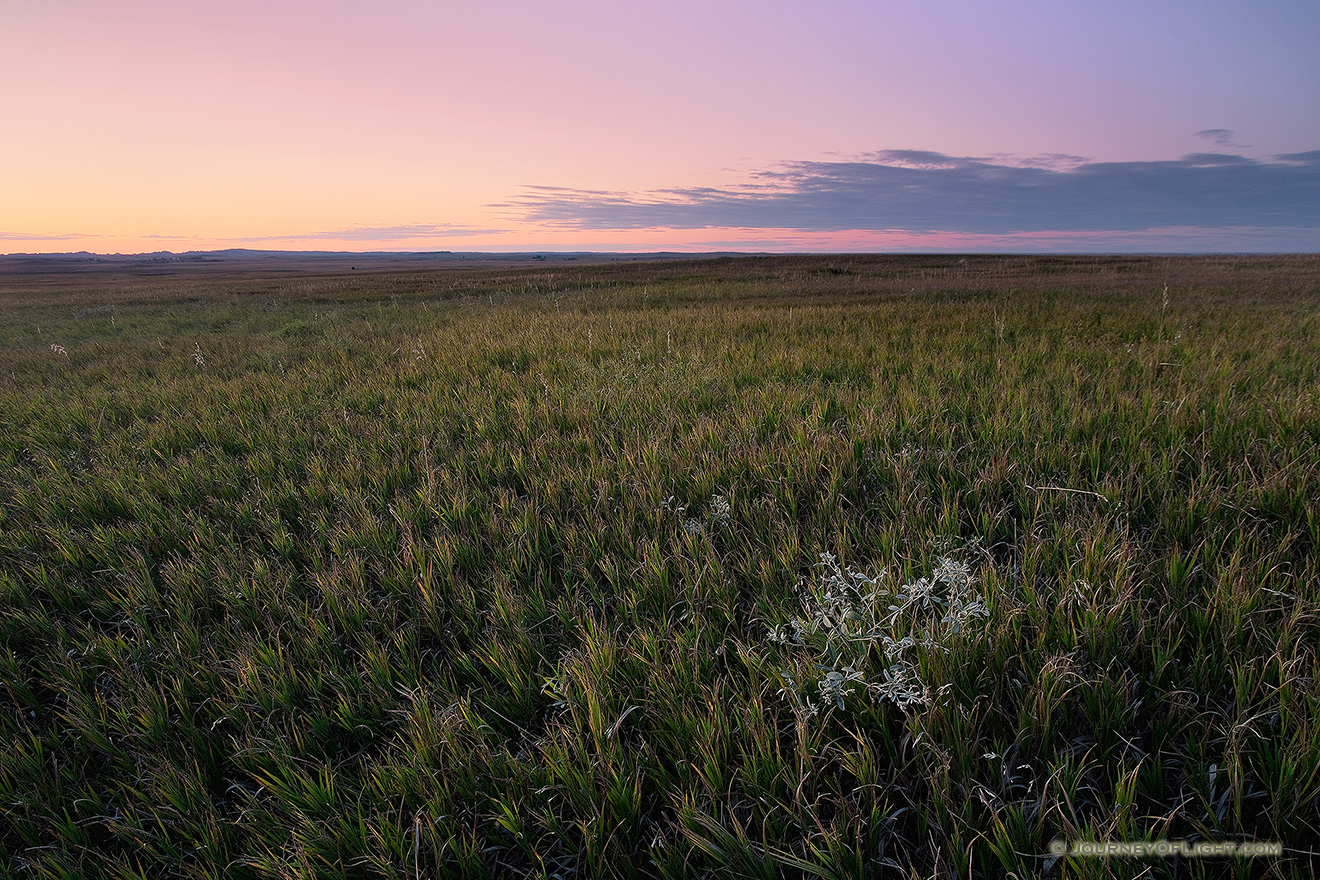 The warm glow of the recently set sun illuminates a grassland in Badlands National Park in South Dakota - South Dakota Picture