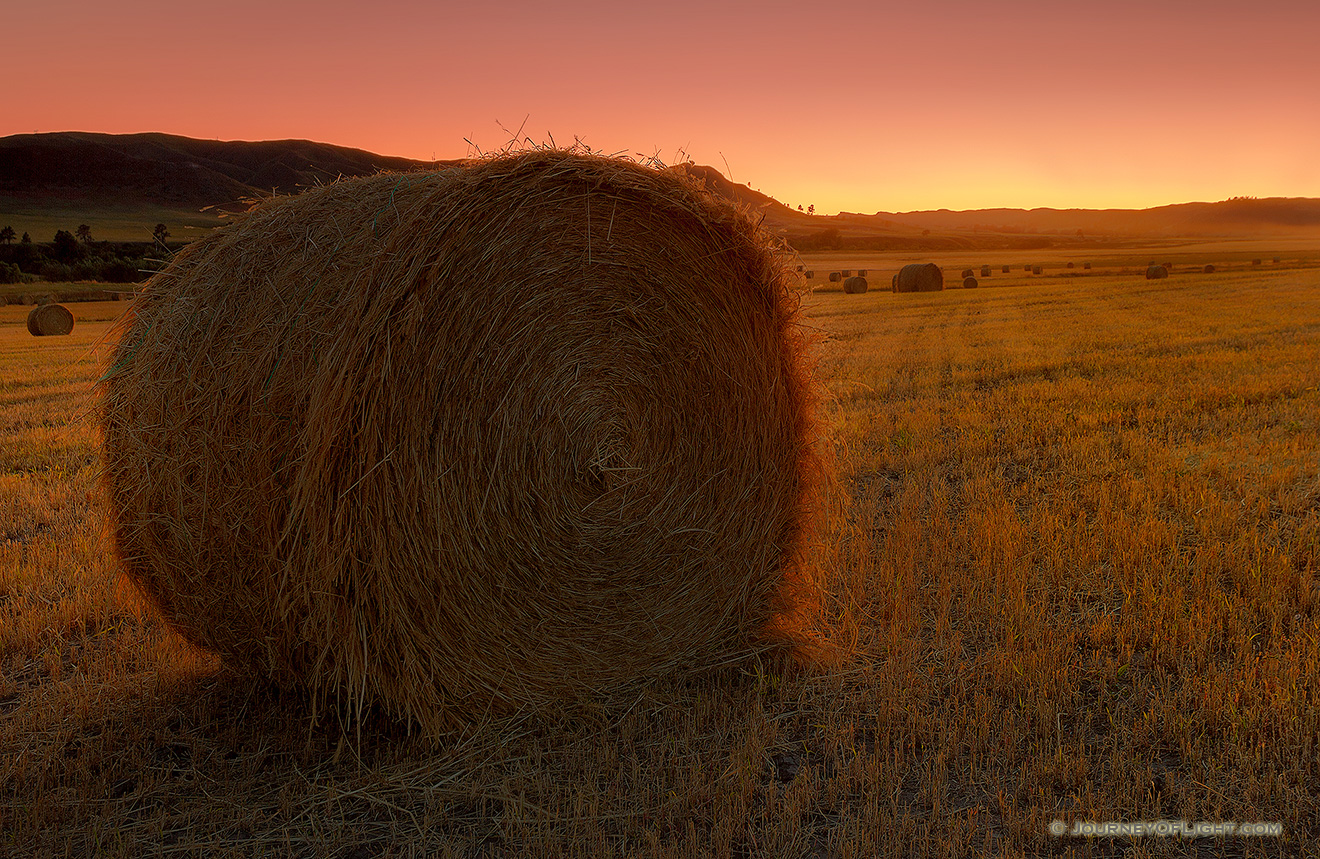 On a cool September evening I found these hay bales in Ft. Robinson State Park, Nebraska. The intense sunset cast an orange light across the field giving everything a warm amber glow. As I stood in the field I could smell the fresh cut hay, reminding me of hay bale rides and fun autumn days. - Nebraska Picture
