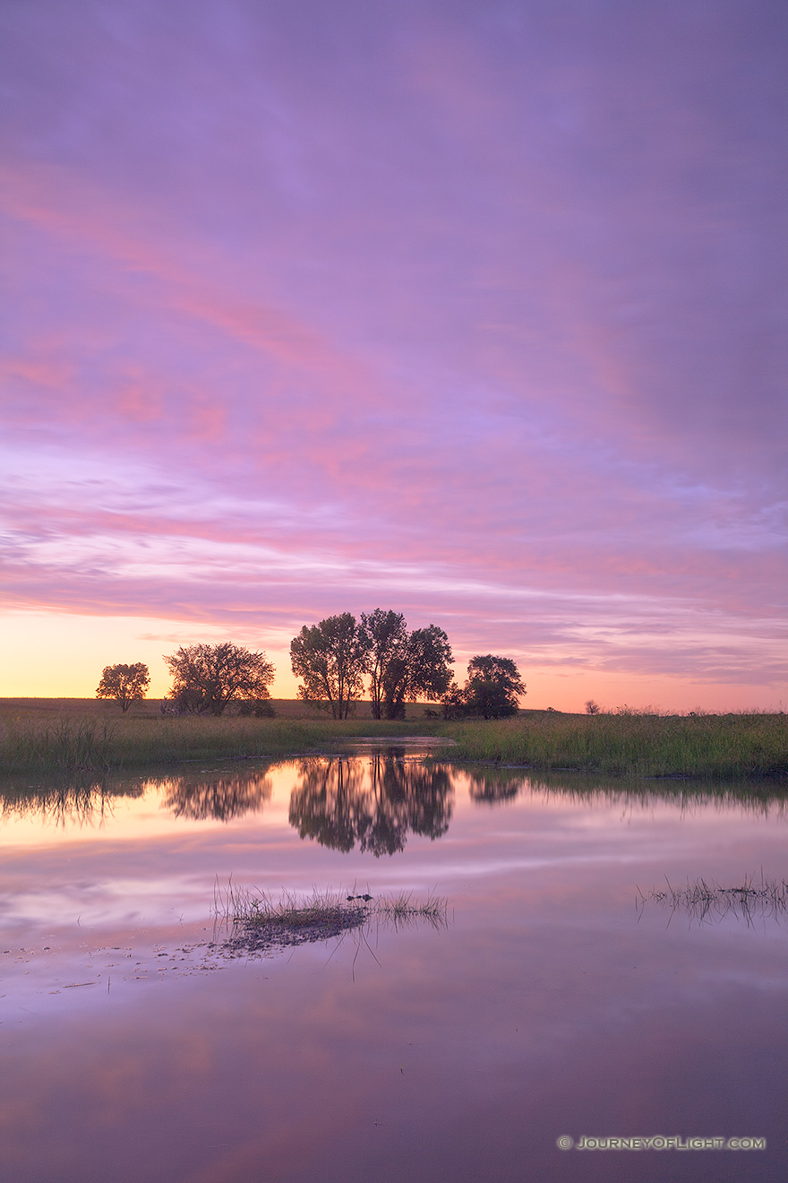A beautiful Nebraska sunset is reflected in the Frank Shoemaker marsh near Lincoln, Nebraska. - Nebraska Picture
