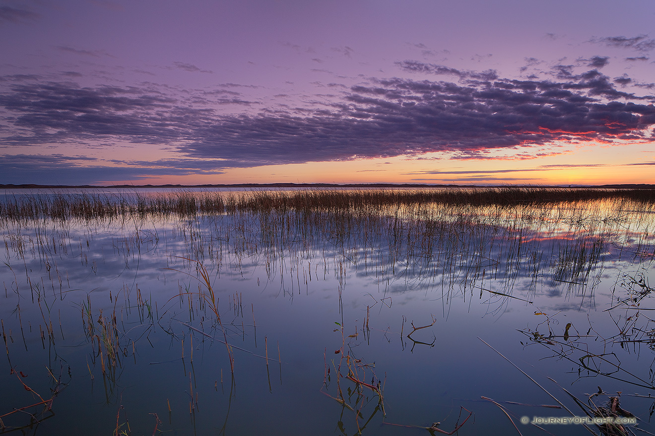A warm glow illuminates the horizon just prior to sunrise on the North Marsh lake at Valentine National Wildlife Refuge, Nebraska. - Valentine Picture