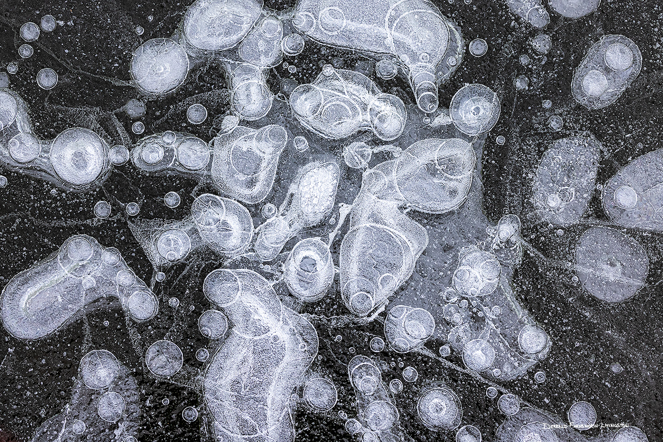 An abstract composition of bubbles under the ice at Shadow Lake, Nebraska. - Nebraska Picture