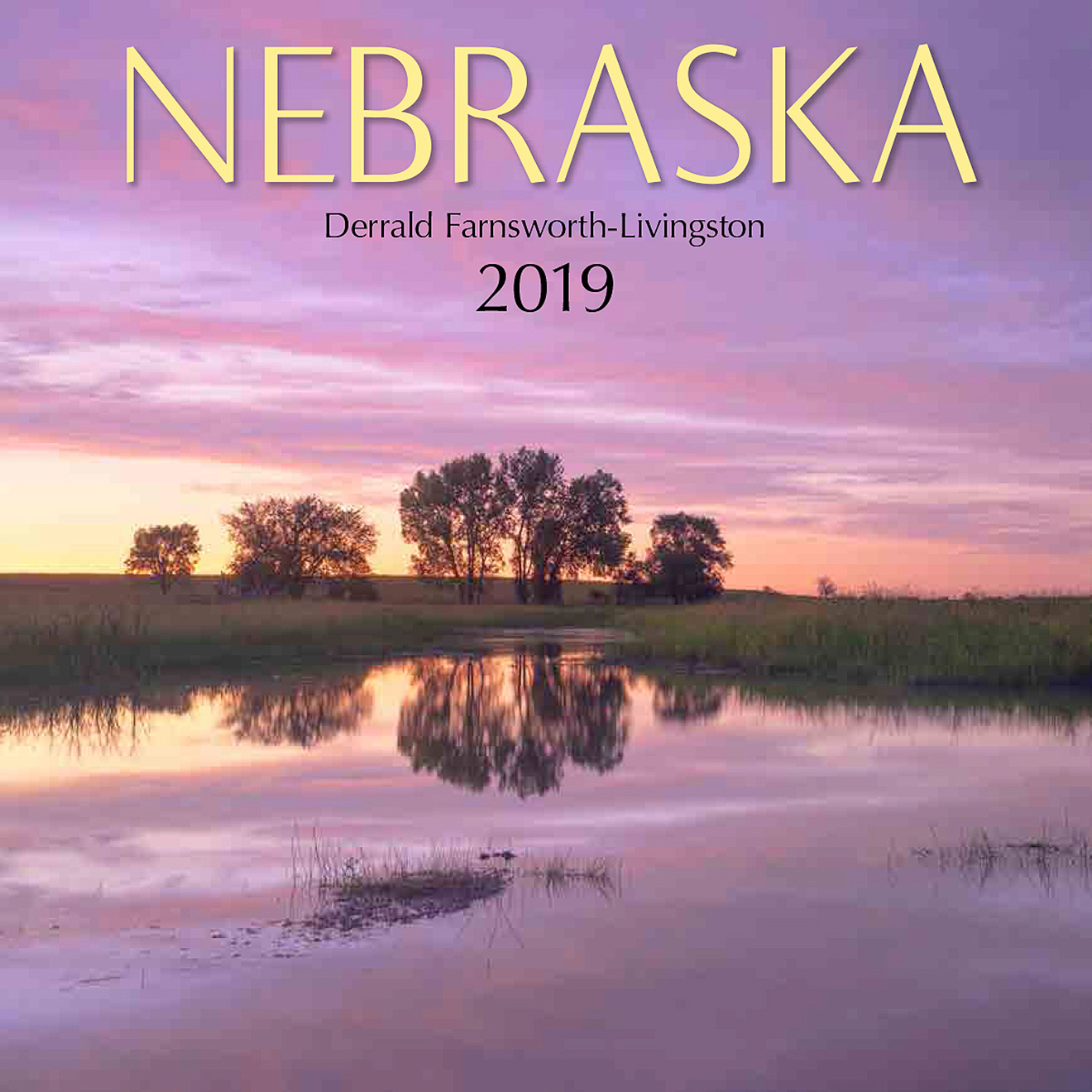 2019 Nebraska State Pride Calendar -  Picture